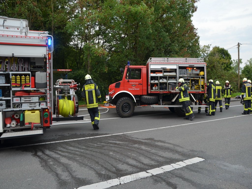 PKlemm Koeln Duennwald Am Weissen Moench Duennwalder Kommunalweg P11.JPG - Miklos Laubert